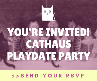 Sign-up for Cathaus Playdate Party