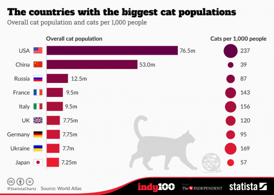 cat-obsessed-countries.png