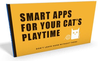 smart-apps-for-your-cat-playtime-image.png